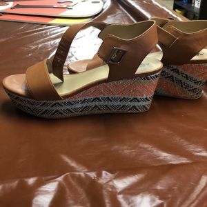 Colorful chevron Wedges